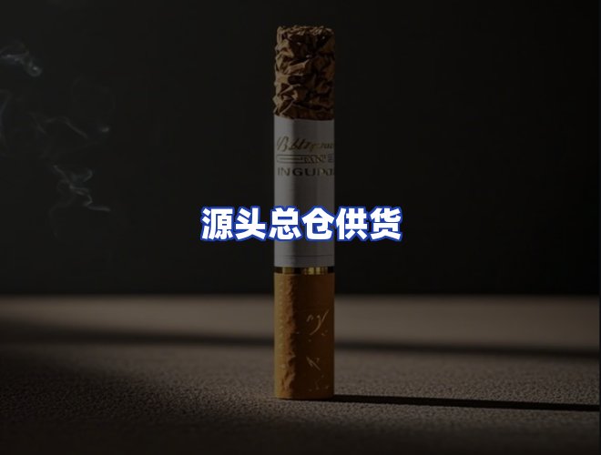 专业团队